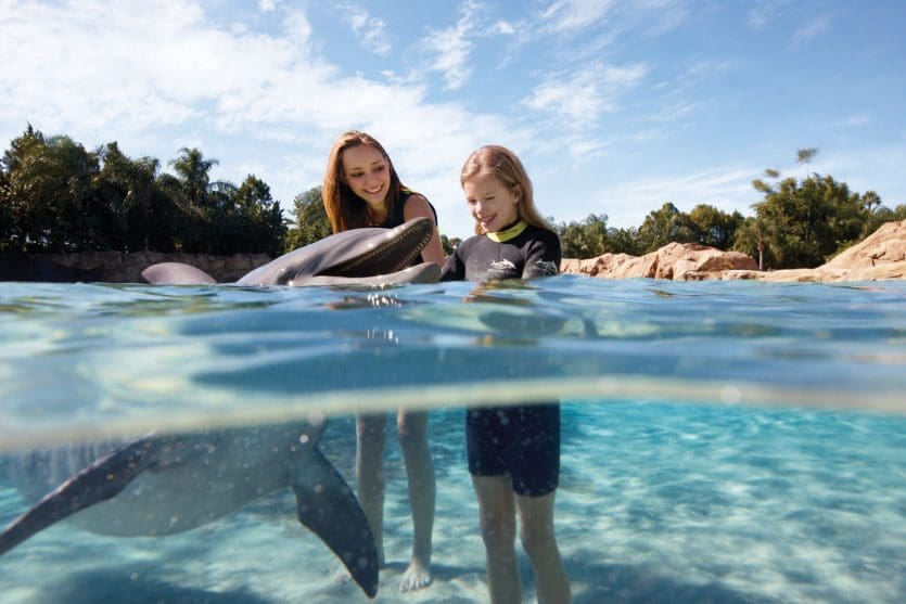 Nado com golfinhos no parque Discovery Cove em Orlando