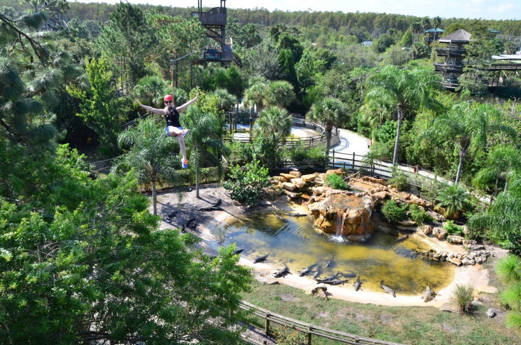 Parque Gatorland em Orlando