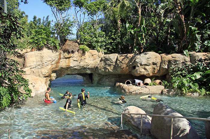 Atração no parque Discovery Cove