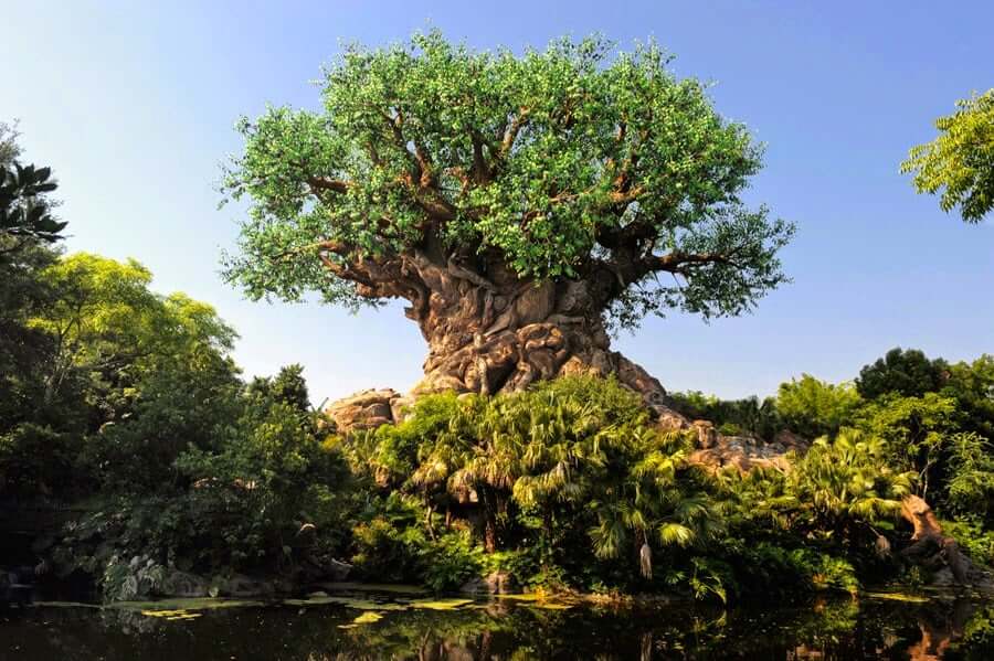 Parque Animal Kingdom da Disney Orlando