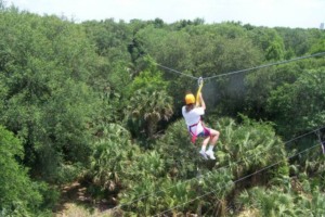 7 coisas para fazer em Kissimmee: Zip Orlando