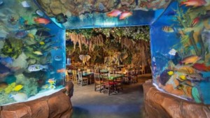 Restaurante Rainforest Cafe Orlando