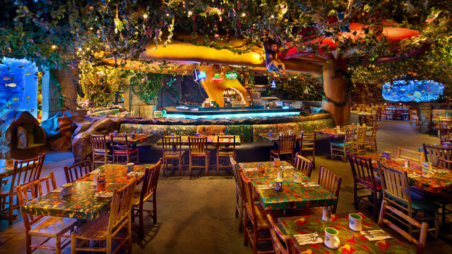 Parque Animal Kingdom da Disney Orlando: Rainforest Cafe