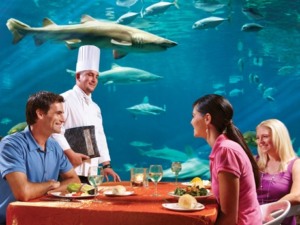 Restaurante Sharks Underwater Grill do SeaWorld Orlando