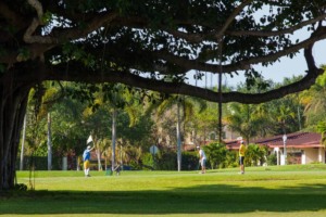 Pontos turísticos em Miami: Coral Gables