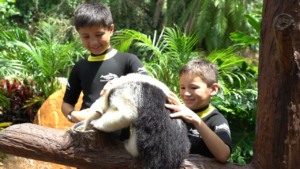 Encontro com animais nos bastidores do Discovery Cove em Orlando: Animal Trek