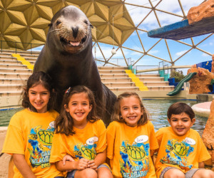 Aquário Miami Seaquarium: crianças