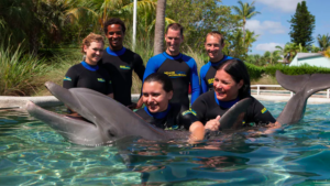 Atrações e tours com Miami Sightseeing Pass: Miami Seaquarium