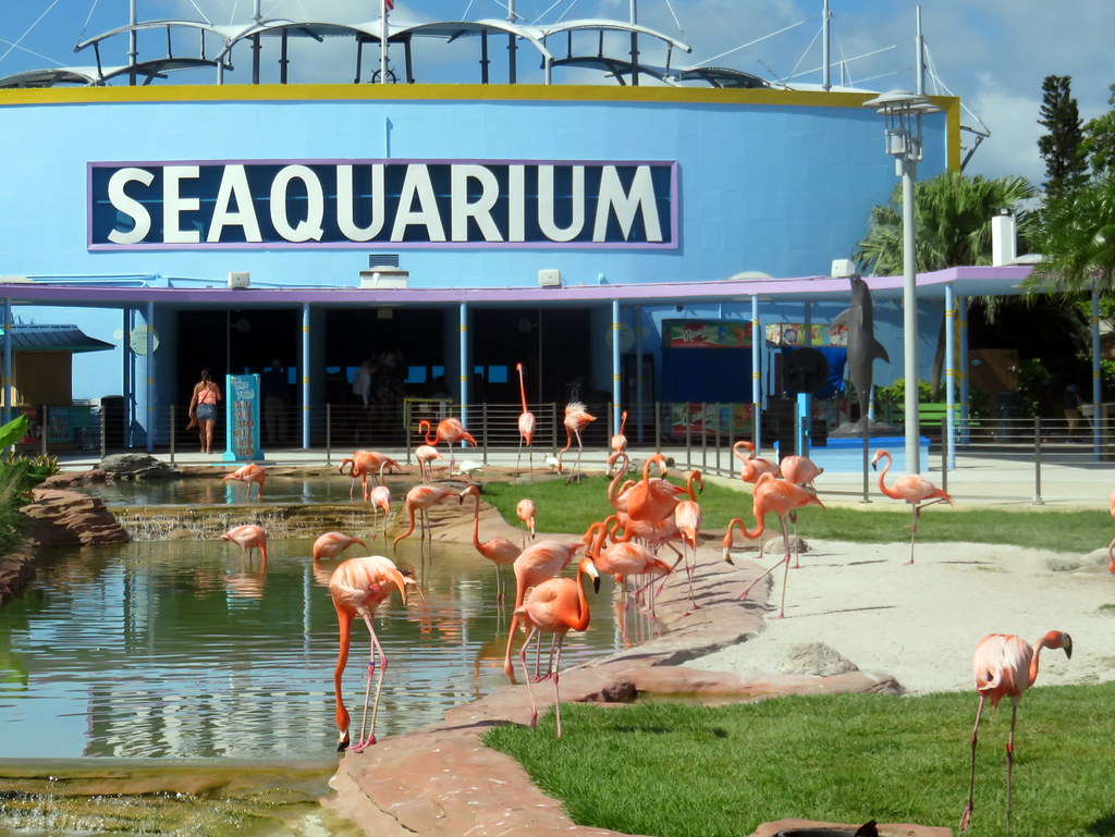 Miami Seaquarium