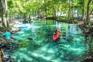 Ginnie Springs próximo a Orlando: atividades