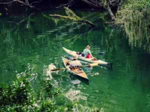 Blue Spring State Park próximo a Orlando: esportes