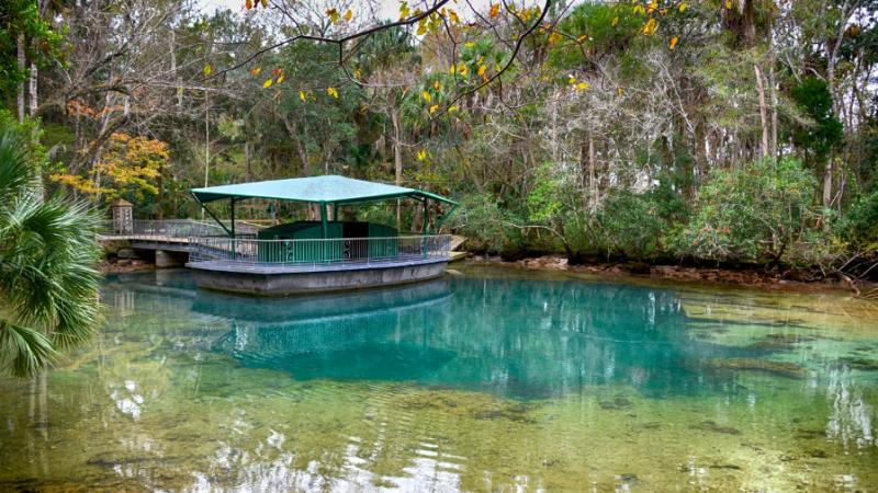 Homosassa Springs Wildlife State Park na Flórida