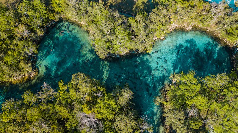 Vista aérea de Crystal River na Flórida