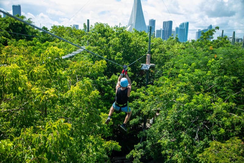 Tirolesa no Treetop Trekking Miami