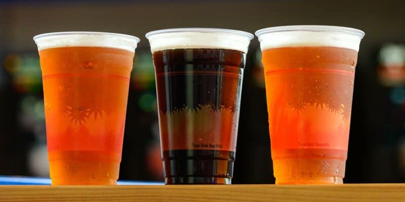 Copos de cervejas no Bier Fest no Busch Gardens Tampa Bay